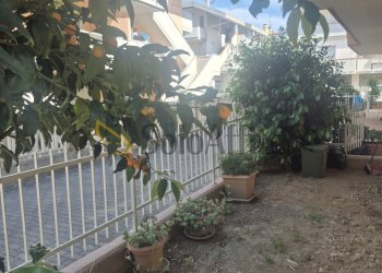 Giardino - Three-room apartment Via Roma, Silvi - photo 18