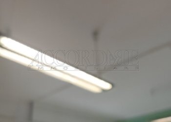 IMG20240420093517.jpg - Commercial Premises Via Filippo Lippi 20, Padova - photo 10