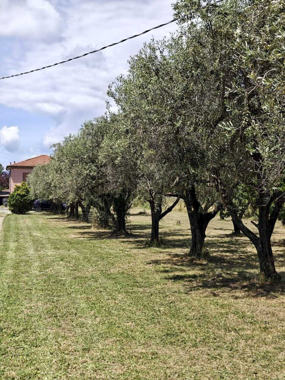 sa1 - Independent house Sarzana - photo 1