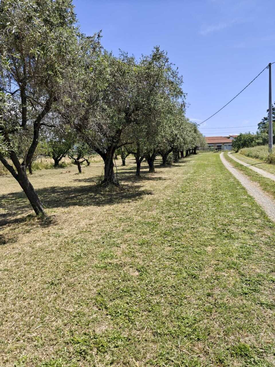 sa2 - Independent house Sarzana - photo 2