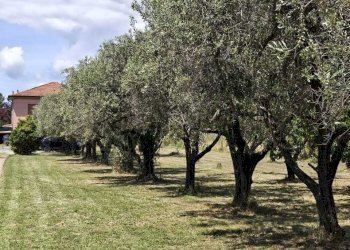 sa1 - Independent house Sarzana - photo 1