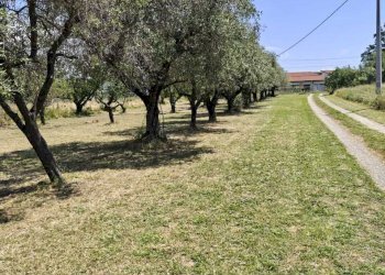 sa2 - Independent house Sarzana - photo 2
