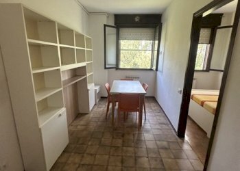 IMG_4505 - Two-room apartment Rovigo - photo 5