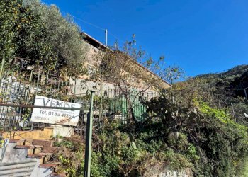 WhatsApp Image 2025-02-22 at 11.09.21 - Magazzino Villa Rovereto 21, Sestri Levante - foto 3