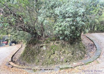05 - Villa Via Cinque Cerri, Bettona - photo 5