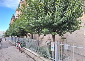 Foto 21 - Apartment Via Pasubio
 
57, Bologna - photo 21
