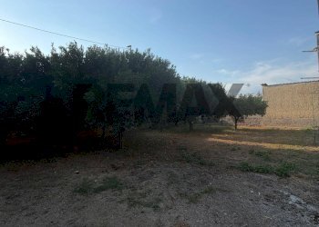Giardino - Villa Vico Nuovo
 
35, Carinola - photo 22
