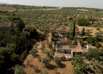 Vista delle montagne - Casa indipendente Contrada Cicimia
 
snc, Chiaramonte Gulfi - foto 7