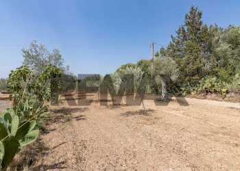Giardino - Casa indipendente Contrada Cicimia
 
snc, Chiaramonte Gulfi - foto 28