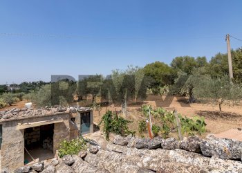 Giardino - Casa indipendente Contrada Cicimia
 
snc, Chiaramonte Gulfi - foto 48