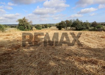 Vista delle montagne - Rustico Contrada Magazzè
 
snc, Ragusa - foto 12