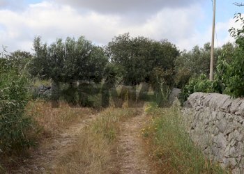 Giardino - Rustico Contrada Magazzè
 
snc, Ragusa - foto 22