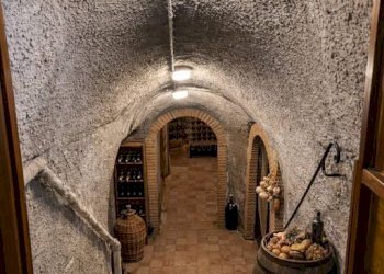 Cantina - Villa via Colle Pisano, Frascati - photo 43
