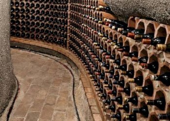 Cantina - Villa via Colle Pisano, Frascati - photo 45