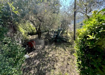 Small Villa via Vittorio Veneto, 56 
 Borzonasca, Borzonasca - photo 10