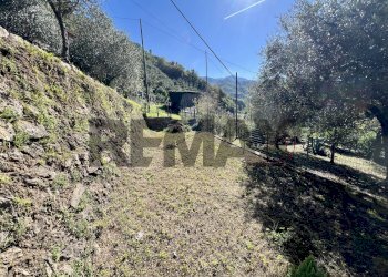 Small Villa via Vittorio Veneto, 56 
 Borzonasca, Borzonasca - photo 13