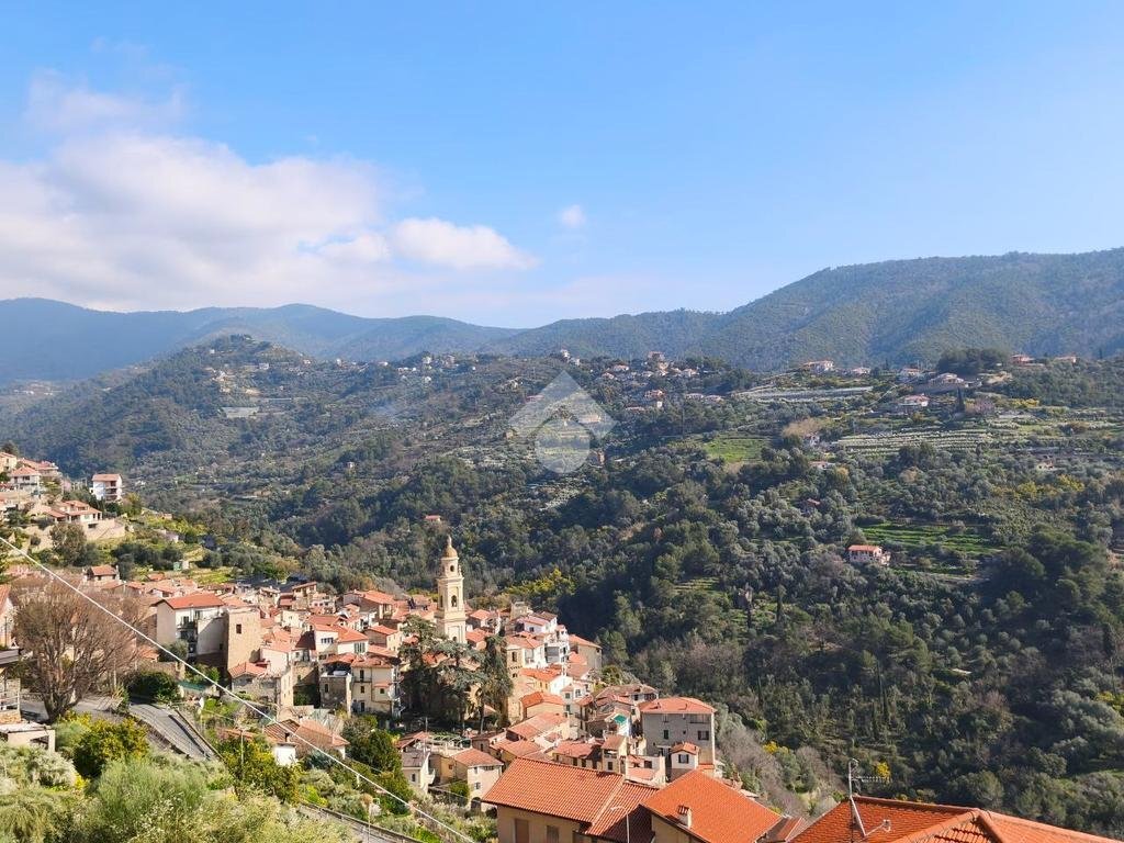 Four-room apartment Via genova, Vallebona - photo 1