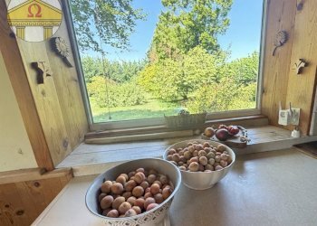 Foto 4 - Villa Spresiano - foto 4