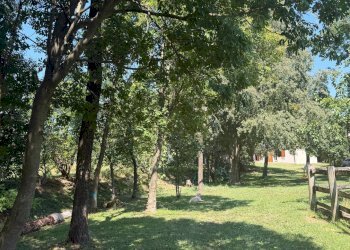 Foto 25 - Villa Spresiano - foto 25
