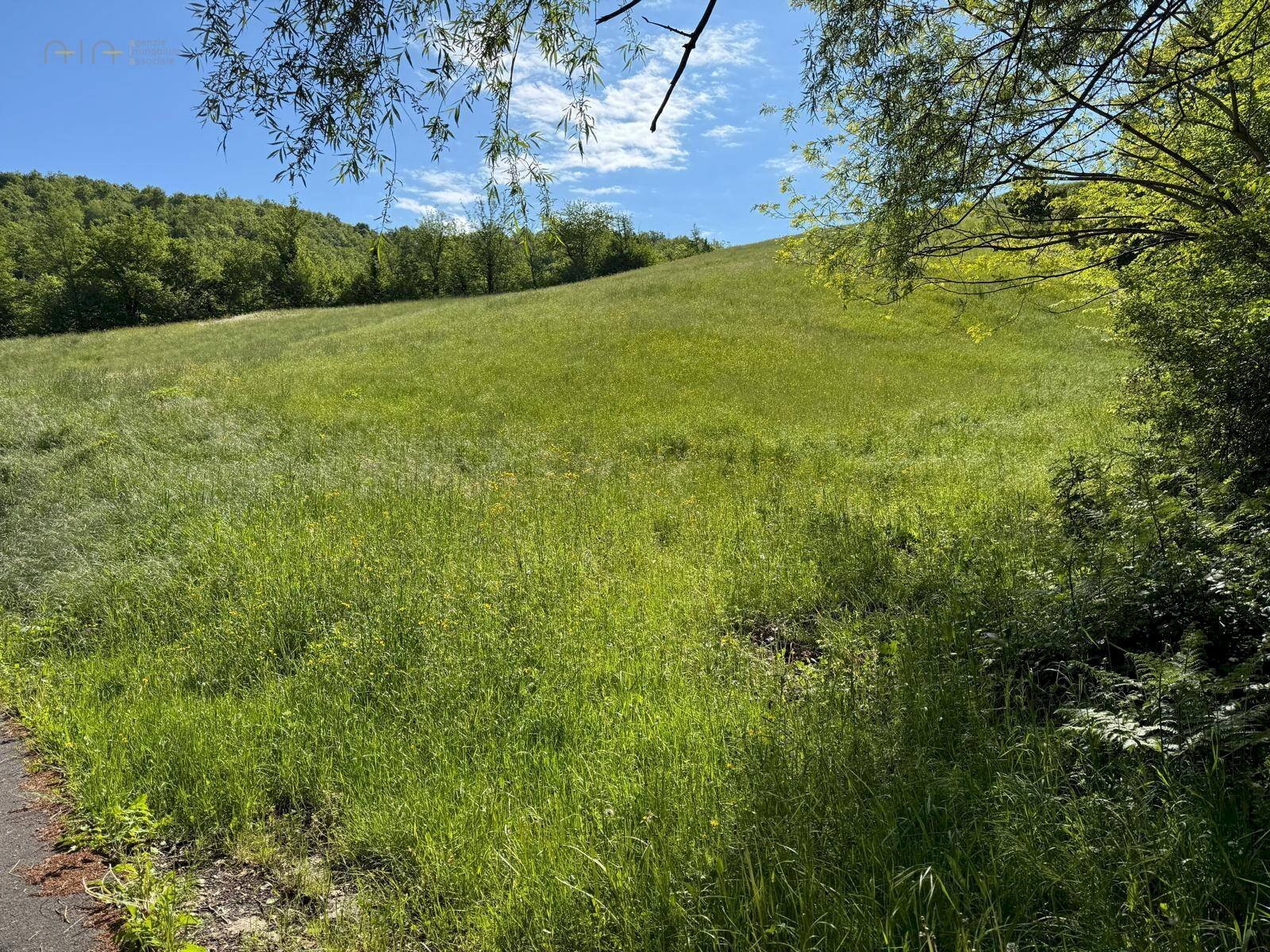Foto 1 - Terreno agricolo Strada Prov. 83 (Cerretana), Montefortino - foto 1