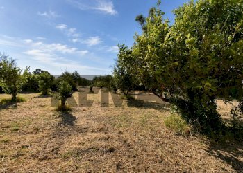 Giardino - Rustic P.teGallo
snc, Messina - photo 18