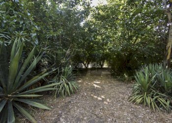Giardino - Rustic P.teGallo
snc, Messina - photo 23