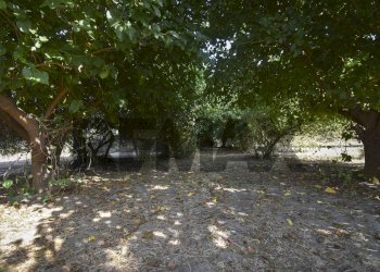 Giardino - Rustic P.teGallo
snc, Messina - photo 34