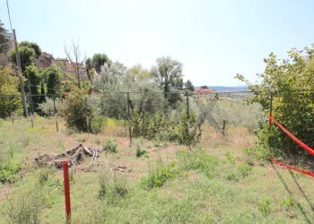Giardino - Semi-detached house Via Rocca Sant'Angelo
 
46, Assisi - photo 44
