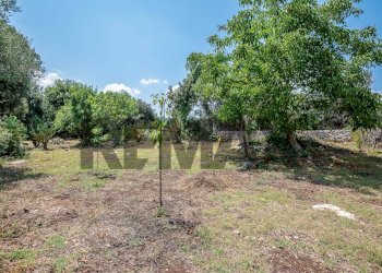 Giardino - Rustico contrada saraceni
 
17, Palazzolo Acreide - foto 38