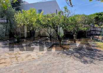 Giardino - Appartamento Località Scialara
35, Vieste - foto 16