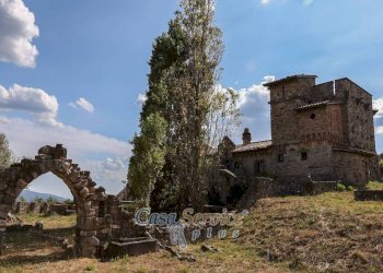 Terreno - Villa strada Statale di Baschi, Todi - photo 2