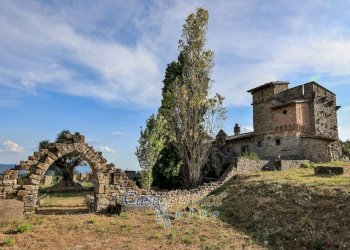 Terreno - Villa strada Statale di Baschi, Todi - foto 42