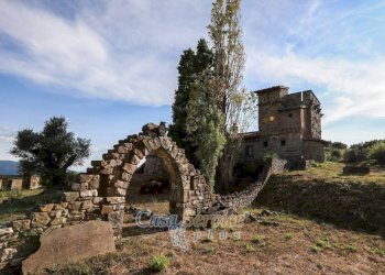 Terreno - Villa strada Statale di Baschi, Todi - photo 43