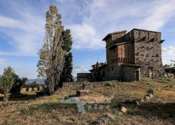 Terreno - Villa strada Statale di Baschi, Todi - foto 44