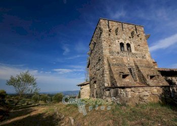 Terreno - Villa strada Statale di Baschi, Todi - foto 46