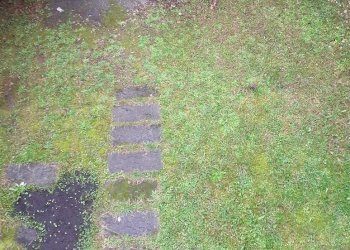 1362826-2r73h - Independent house Via Livorno 34, Massa - photo 5