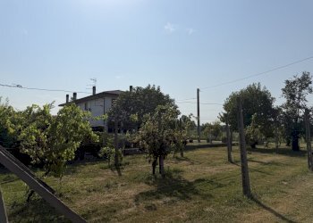 IMG_6921 - Villa Via Fossello, Lendinara - photo 5