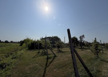 IMG_6920 - Villa Via Fossello, Lendinara - photo 6