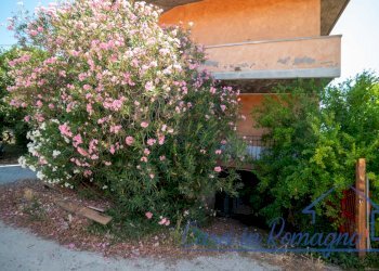 Complesso-52 - Villa Via Emilia 1430, Longiano - foto 30