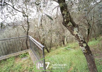 DSC04968.JPG - Villa Via Barletti 77, Casarza Ligure - foto 26