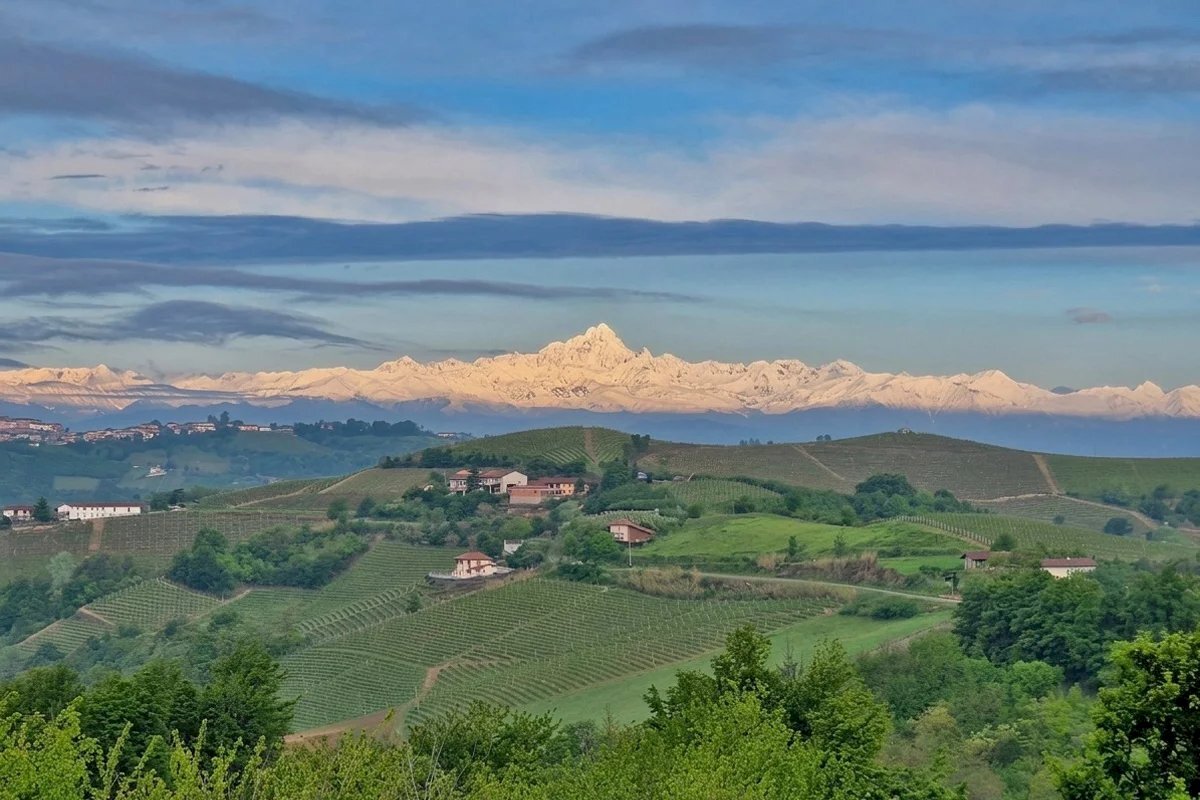 Villa Trezzo Tinella - foto 3