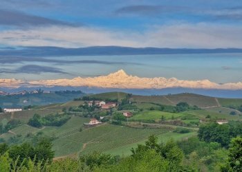 Villa Trezzo Tinella - foto 3