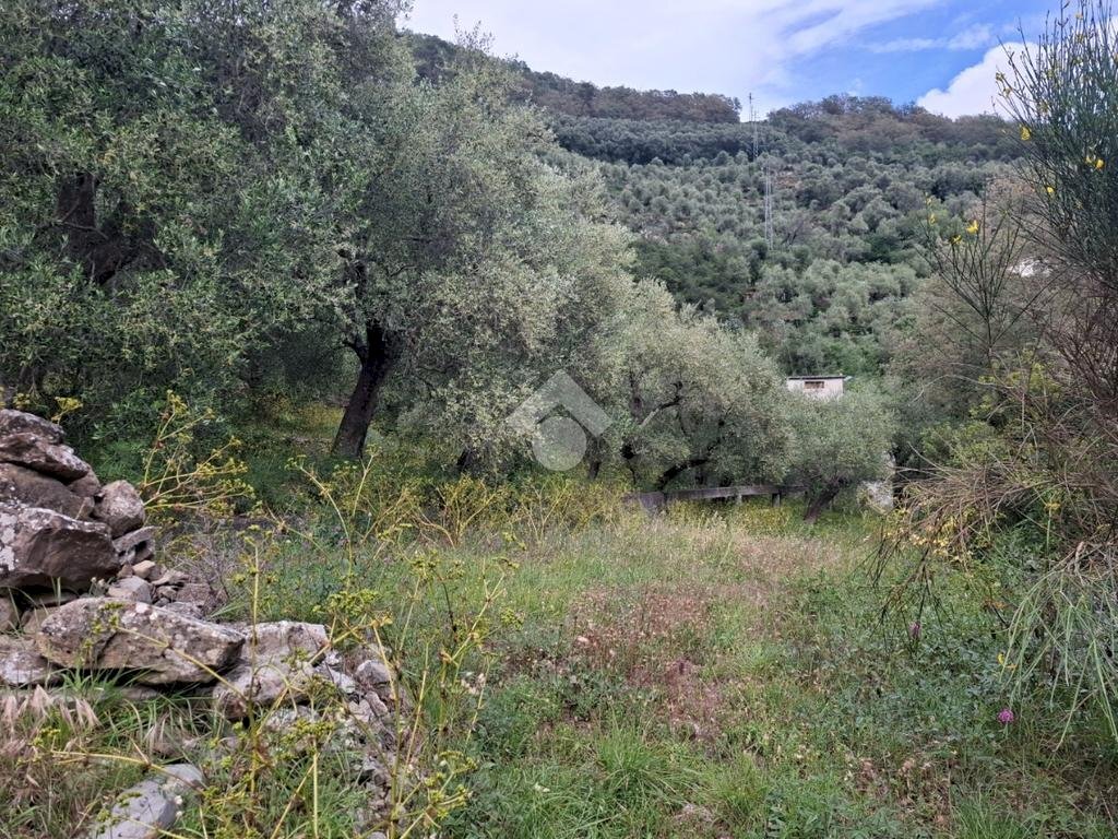 Agricultural land Via Evigno, Diano San Pietro - photo 2