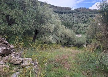 Agricultural land Via Evigno, Diano San Pietro - photo 2