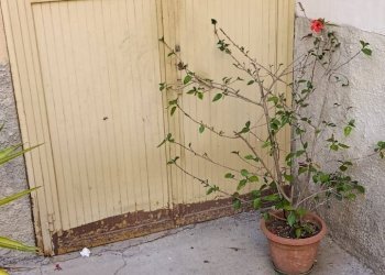 Terrazza - Casa indipendente VIA AQUILINO
7, Corigliano-Rossano - foto 17