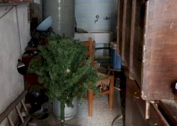 Dispensa di stoccaggio - Casa indipendente VIA AQUILINO
7, Corigliano-Rossano - foto 18