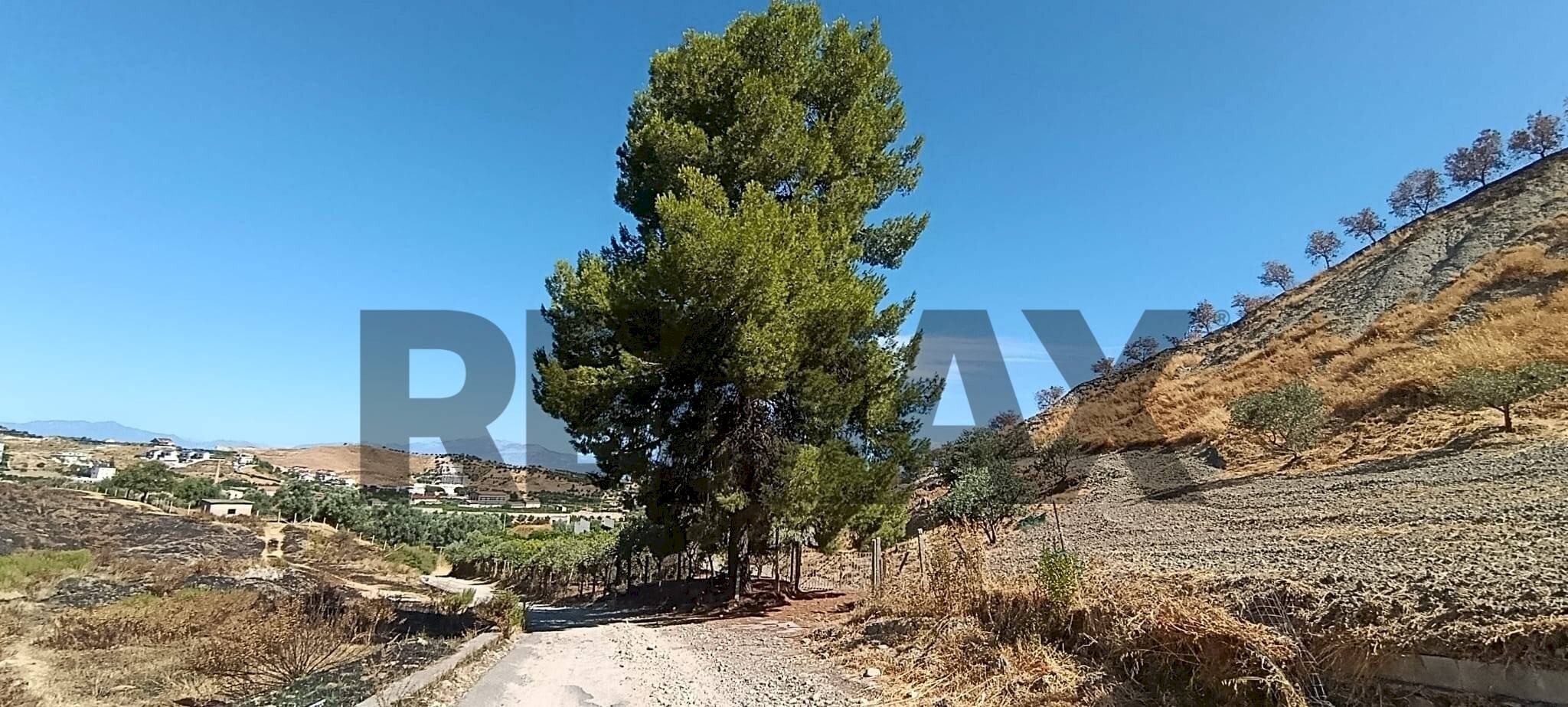 Vista delle montagne - Terreno agricolo contrada ferraina
 
1, Corigliano-Rossano - foto 1
