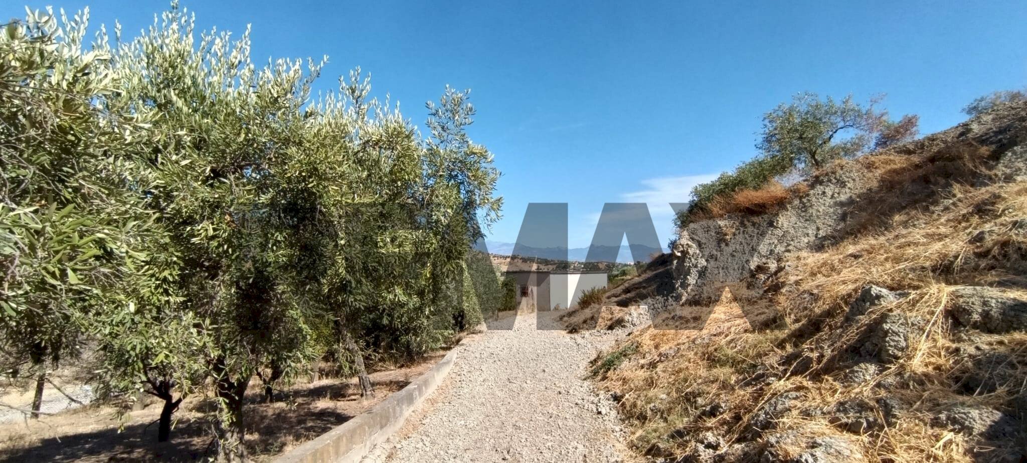 Non correlato - Terreno agricolo contrada ferraina
1, Corigliano-Rossano - foto 3