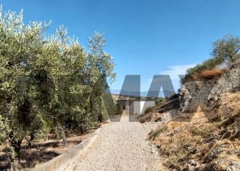 Non correlato - Terreno agricolo contrada ferraina
1, Corigliano-Rossano - foto 3