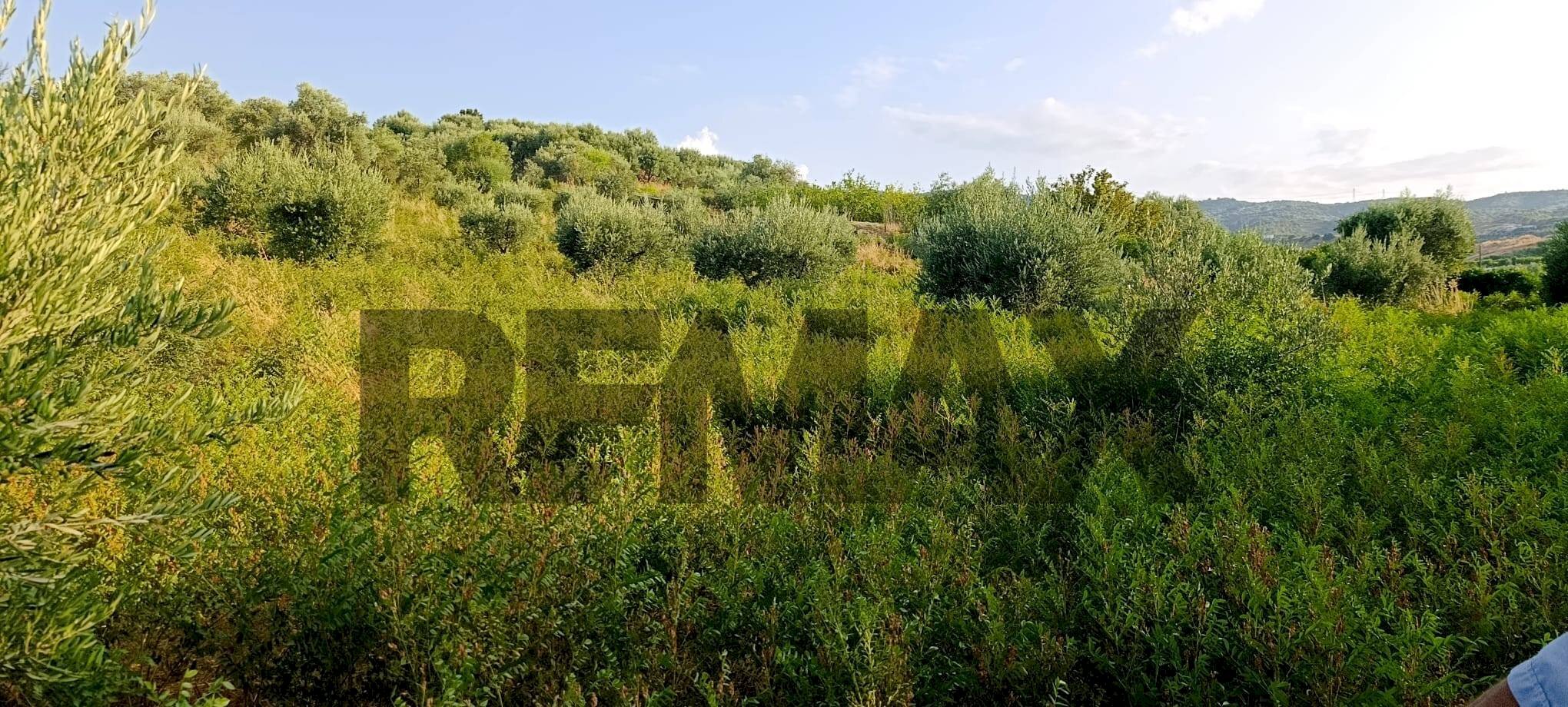 Vista delle montagne - Terreno agricolo cta Cannata
 
SNC, Corigliano-Rossano - foto 1